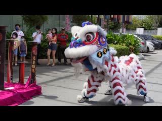 acrobatic dance of xian long shi (fairy-lion, lion-dragon), the hero of folklore...